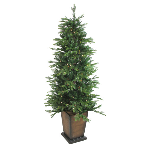 Real Touch™️ Pre-Lit Oregon Noble Fir Slim Artificial Potted Christmas Tree - 6' - Warm Clear LED Lights - IMAGE 1