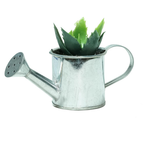 Two Tone Tropical Mini Artificial Spikey Succulent in Watering Can - 6" - IMAGE 1