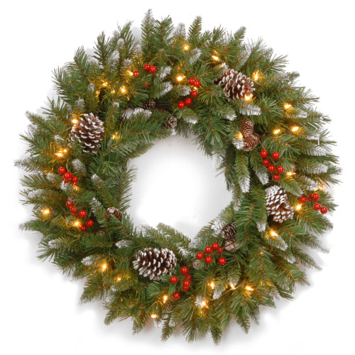 Pre-Lit Frosted Berry Artificial Christmas Wreath, 24-Inch, Clear Lights - IMAGE 1