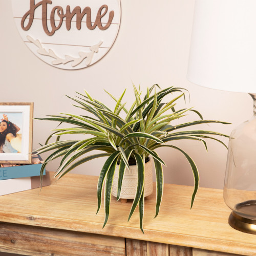 Artificial Two Toned Potted Spider Plant - 13" - IMAGE 1
