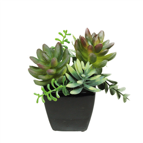 8" Black and Green Potted Mixed Succulent Artificial Plant Arrangement - IMAGE 1