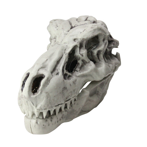 17" Gray Light and Sound Sonic T-Rex Dinosaur Skull Head Halloween Decor - IMAGE 1