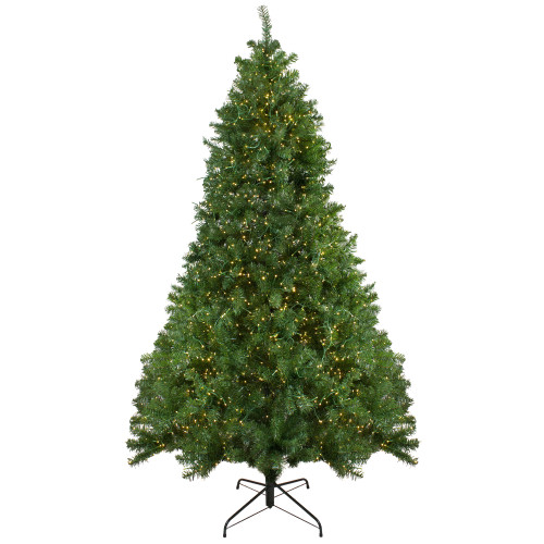 7.5' Pre-Lit Full Pike River Fir Artificial Christmas Tree - Multicolor LED Lights - IMAGE 1