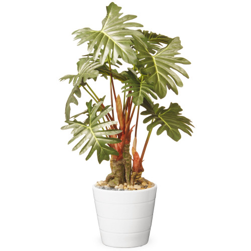 21” Garden Accents Green Philodendron Plant in Ceramic Pot - IMAGE 1