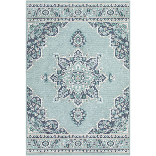 5.9' x 8.8' Traditional Style Teal Blue and White Rectangular Area Throw Rug - IMAGE 1