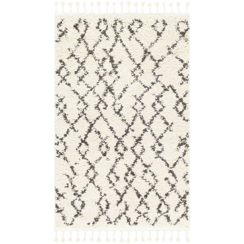 3' x 5' Scandinavian Ethnic Pattern Gray and Beige Rectangular Machine Woven Area Rug - IMAGE 1