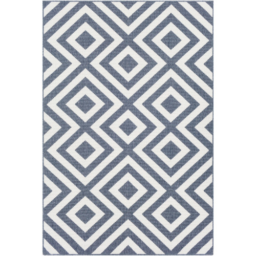 3.5' x 5.5' Geometric Blue and White Rectangular Area Throw Rug - IMAGE 1