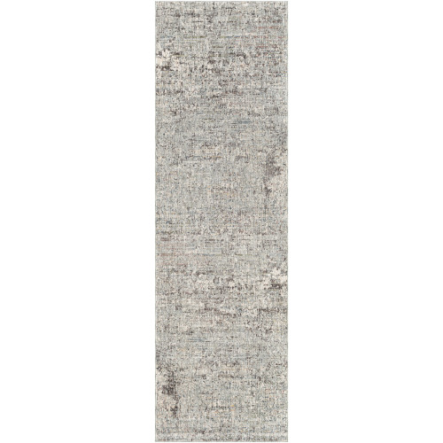 3’3” x 10' Distressed Finish Beige and Gray Area Throw Rug Runner - IMAGE 1