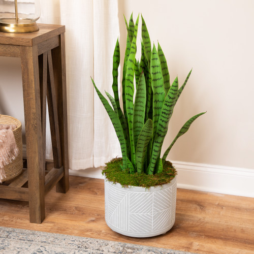 Real Touch™️ Artificial Two Tone Potted Snake Plant - 3' - IMAGE 1