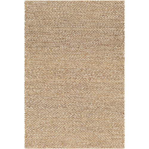 2' x 3' Brown and White Rectangular Hand Woven Area Rug - IMAGE 1