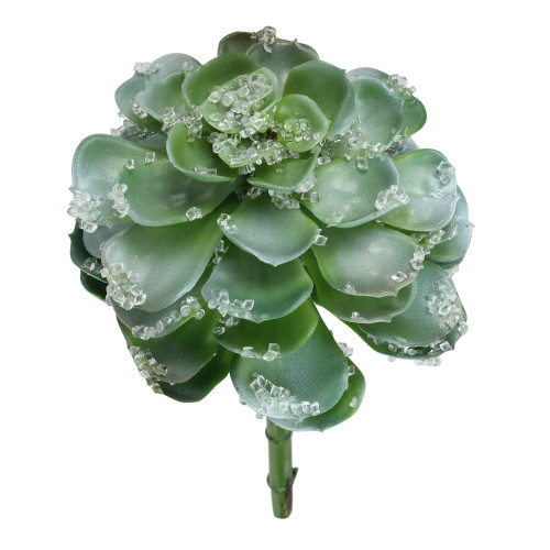Frosted Echeveria Succulent Artificial Christmas Pick - 10" - Green - IMAGE 1