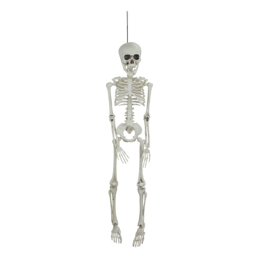 20" Jointed Skeleton Hanging Halloween Decoration - IMAGE 1