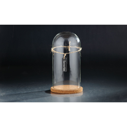 10.5" Clear Cloche Terrarium Glass Vase - IMAGE 1