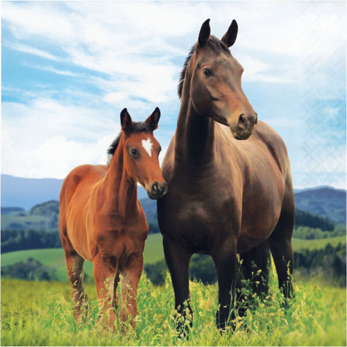 2-Ply Horse and Pony Disposable Beverage Napkins - 12.75" - Club Pack of 192 - IMAGE 1