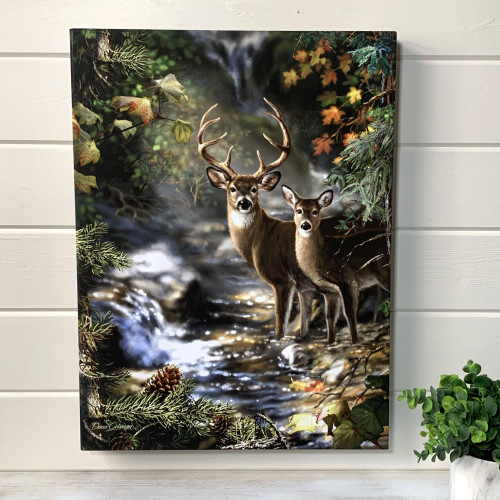 Green and Brown Deer Creek LED Backlit Rectangular Wall Art with Remote Control 24" x 18" - IMAGE 1