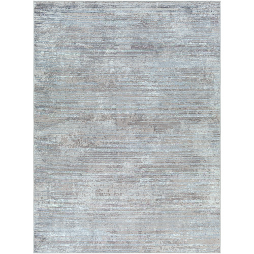 7.8' x 10.1' Distressed Finish Gray and Denim Blue Rectangular Area Throw Rug - IMAGE 1