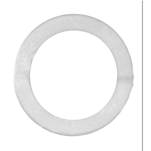 White 2in Gasket/Flat Heater Pump Unions - IMAGE 1