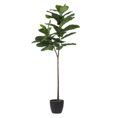 59" Black and Green Wide Fiddle-Leaf Fig Tree - IMAGE 1