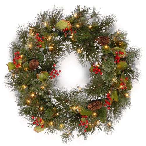 Pre-Lit Wintry Pine Artificial Christmas Wreath, 24-Inch, White LED Lights - IMAGE 1