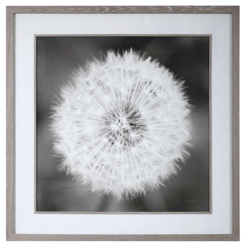 Dandelion Seedhead Framed Wall Art - 53.75" x 53.75" - IMAGE 1