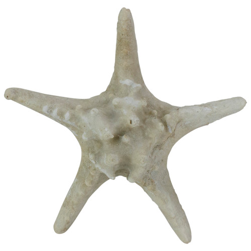 8.25" Sandy Brown Nautical Starfish Table Top Decoration - IMAGE 1