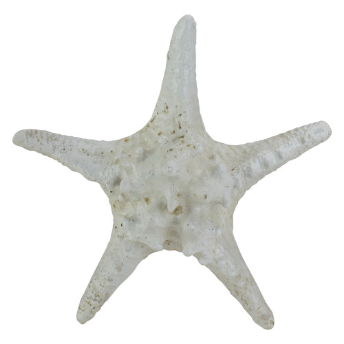 Nautical Starfish Coastal Decoration - 11.75" - Sandy White and Brown - IMAGE 1