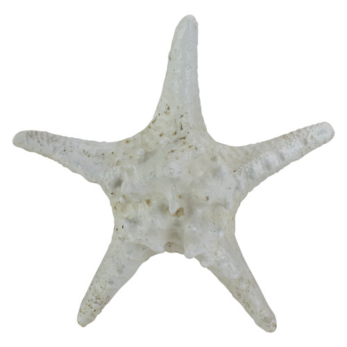 11.75" Sandy Brown Nautical Starfish Table Top Decoration - IMAGE 1