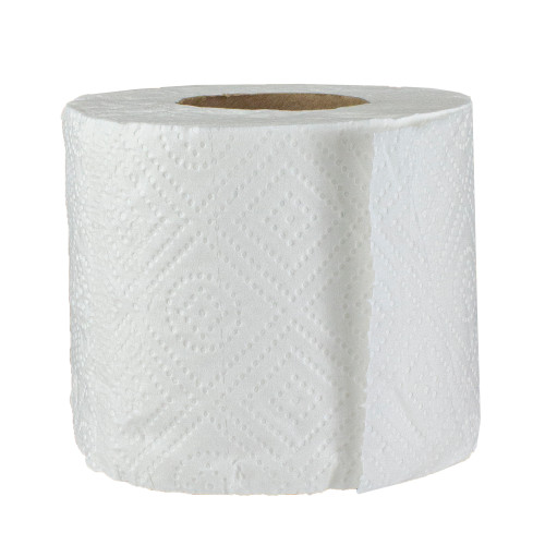 Pack of 12 Plush 2-Ply Toilet Paper Rolls - IMAGE 1