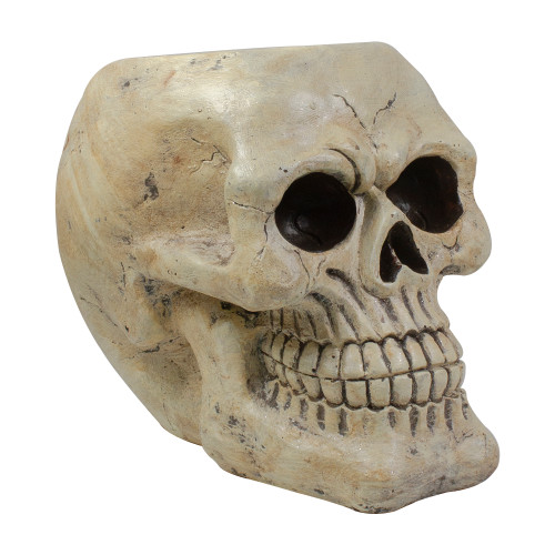 Skeleton Skull Halloween Decoration - 11" - Ivory and Black - IMAGE 1