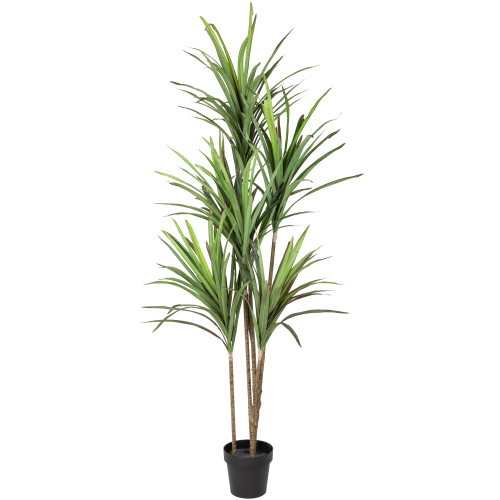 Real Touch™️ Green Artificial Dracaena Marginata Plant in Black Pot - 5 ...