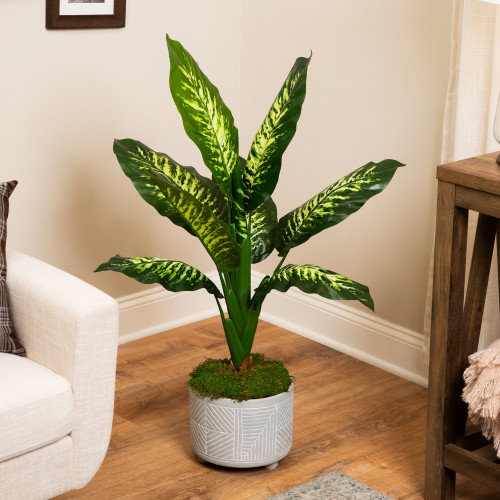 Artificial Variegated Dieffenbachia Leaf Potted Plant - 36" - IMAGE 1