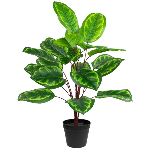 30" Two-Tone Green Calathea Artificial Potted Plant - IMAGE 1