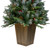 4' Pre-Lit Frosted Mixed Berry Pine Artificial Christmas Tree in Pot - Clear Lights - IMAGE 6