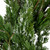 Real Touch™️ Iced Cedar Artificial Christmas Wreath  - 24" - Unlit - IMAGE 4
