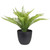 12" Potted Green Artificial Pinus Plant - IMAGE 1