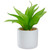 8" Green Artificial Aloe Plant in a White Pot - IMAGE 1