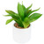 Artificial Mini Foxtail Agave Plant in a White Pot - 8" - IMAGE 3