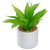 8" Green Artificial Aloe Plant in a White Pot - IMAGE 3