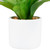 Artificial Mini Foxtail Agave Plant in a White Pot - 8"