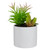 9" Artificial Succulent Arrangement in White Ceramic Pot - IMAGE 3