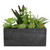 10" Artificial Mixed Succulent Plants in a Rectangular Planter - IMAGE 1