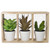10.75" Artificial Mixed Potted Succulents in Wooden Box - IMAGE 1