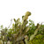 Mixed Foliage and Willow Bud Artificial Spring Wreath, 10-Inch - IMAGE 3