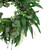 Eucalyptus and Fern Mixed Foliage Artificial Spring Wreath - 24" - IMAGE 4