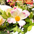 26" Daisy, Peony and Roses Artificial Floral Spring Wreath - IMAGE 6