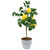 Potted Artificial Mini Lemon Tree - 20" - Green and Yellow - IMAGE 4