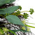 Eucalyptus and Sweet Gum Flowers Twig Spring Wreath - 24" - Green and White - IMAGE 5