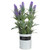 11" Artificial Lavender Arrangement in White Tin Can - IMAGE 1
