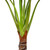 Potted Green Wide Leaf Taro Artificial Floor Plant - 51" - IMAGE 5
