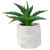 Artificial Potted Aloe Succulent in Cement Pot - 6" - IMAGE 1